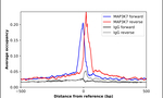 TAK1 Antibody in ChIP Assay (ChIP)