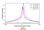 YY1 Antibody in ChIP Assay (ChIP)