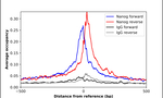 Nanog Antibody in ChIP Assay (ChIP)