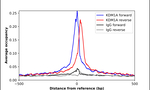 LSD1 Antibody in ChIP Assay (ChIP)