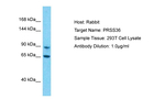PRSS36 Polyclonal Antibody