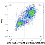 mCherry Antibody in Flow Cytometry (Flow)