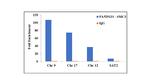 SMC3 Antibody in ChIP Assay (ChIP)