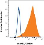 VCAM-1 Antibody in Flow Cytometry (Flow)