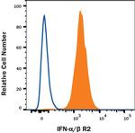 IFNAR2 Polyclonal Antibody