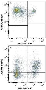CD166 Antibody in Flow Cytometry (Flow)