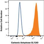Carbonic Anhydrase IX Antibody in Flow Cytometry (Flow)