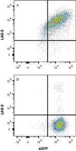 CD223 Antibody in Flow Cytometry (Flow)