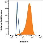 Nectin 4 Antibody in Flow Cytometry (Flow)