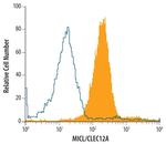 CLEC12A Polyclonal Antibody