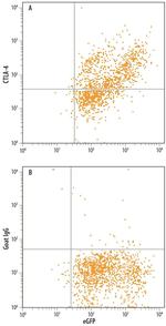 CTLA-4 Antibody in Flow Cytometry (Flow)