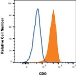 CDO Antibody in Flow Cytometry (Flow)