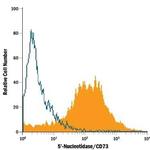 CD73 Antibody in Flow Cytometry (Flow)