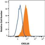 CXCL16 Polyclonal Antibody