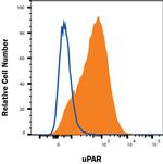uPAR Antibody in Flow Cytometry (Flow)