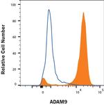 ADAM9 Antibody in Flow Cytometry (Flow)