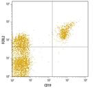 FCRL2 Antibody in Flow Cytometry (Flow)