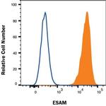 ESAM Antibody in Flow Cytometry (Flow)