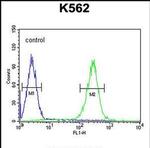 ZNF517 Antibody in Flow Cytometry (Flow)