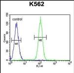 DDX27 Antibody in Flow Cytometry (Flow)