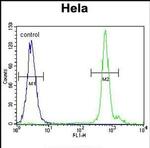 EMG1 Antibody in Flow Cytometry (Flow)