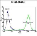 MIER2 Antibody in Flow Cytometry (Flow)