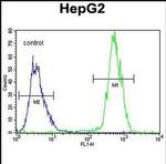 PRRT1 Antibody in Flow Cytometry (Flow)