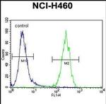 ATXN7L2 Antibody in Flow Cytometry (Flow)