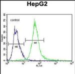 SPDYE1 Antibody in Flow Cytometry (Flow)