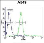 COP1 Antibody in Flow Cytometry (Flow)