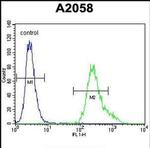 UBXN2A Antibody in Flow Cytometry (Flow)