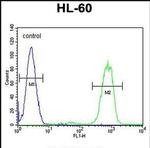 ANKRD40 Antibody in Flow Cytometry (Flow)