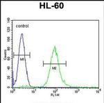 METTL10 Antibody in Flow Cytometry (Flow)