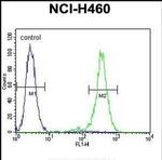OR2B11 Antibody in Flow Cytometry (Flow)