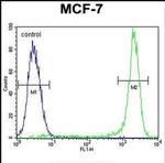 KSR2 Antibody in Flow Cytometry (Flow)