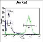 OR4N4 Antibody in Flow Cytometry (Flow)