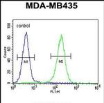 TTLL13 Antibody in Flow Cytometry (Flow)