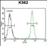 NUDT19 Antibody in Flow Cytometry (Flow)