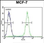 C1QL4 Antibody in Flow Cytometry (Flow)