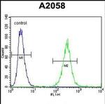 GAB4 Antibody in Flow Cytometry (Flow)