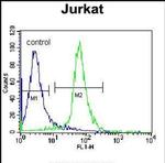 RBM14 Antibody in Flow Cytometry (Flow)