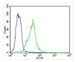 HBB Antibody in Flow Cytometry (Flow)