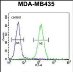 SMYD4 Antibody in Flow Cytometry (Flow)