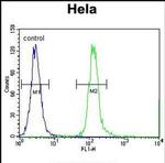 CPSF4L Antibody in Flow Cytometry (Flow)