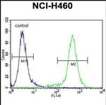 LCN9 Antibody in Flow Cytometry (Flow)