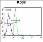 PTPN20A Antibody in Flow Cytometry (Flow)
