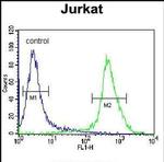 MOGAT3 Antibody in Flow Cytometry (Flow)