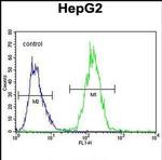 RDH13 Antibody in Flow Cytometry (Flow)