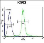 GLMN Antibody in Flow Cytometry (Flow)