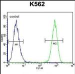 TAF4B Antibody in Flow Cytometry (Flow)